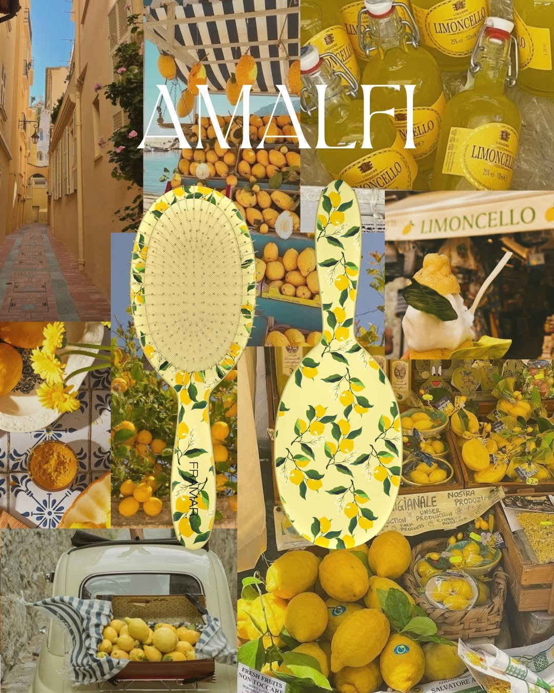 Brosse démèlante Framar