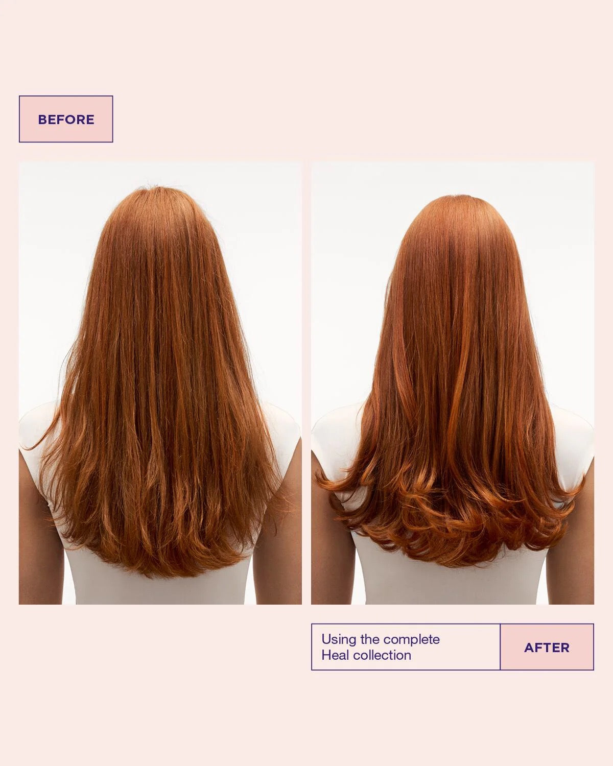 Trousse de Beauté- Head and Hair Heal