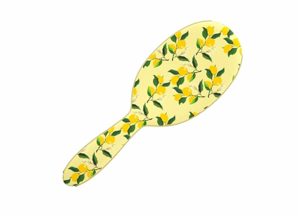 Brosse démèlante Framar 