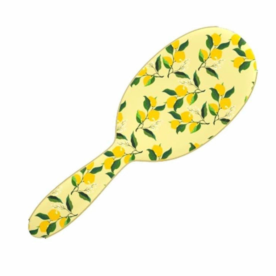 Brosse démèlante Framar 