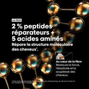 Kit de Réparation- Absolut Repair Molecular