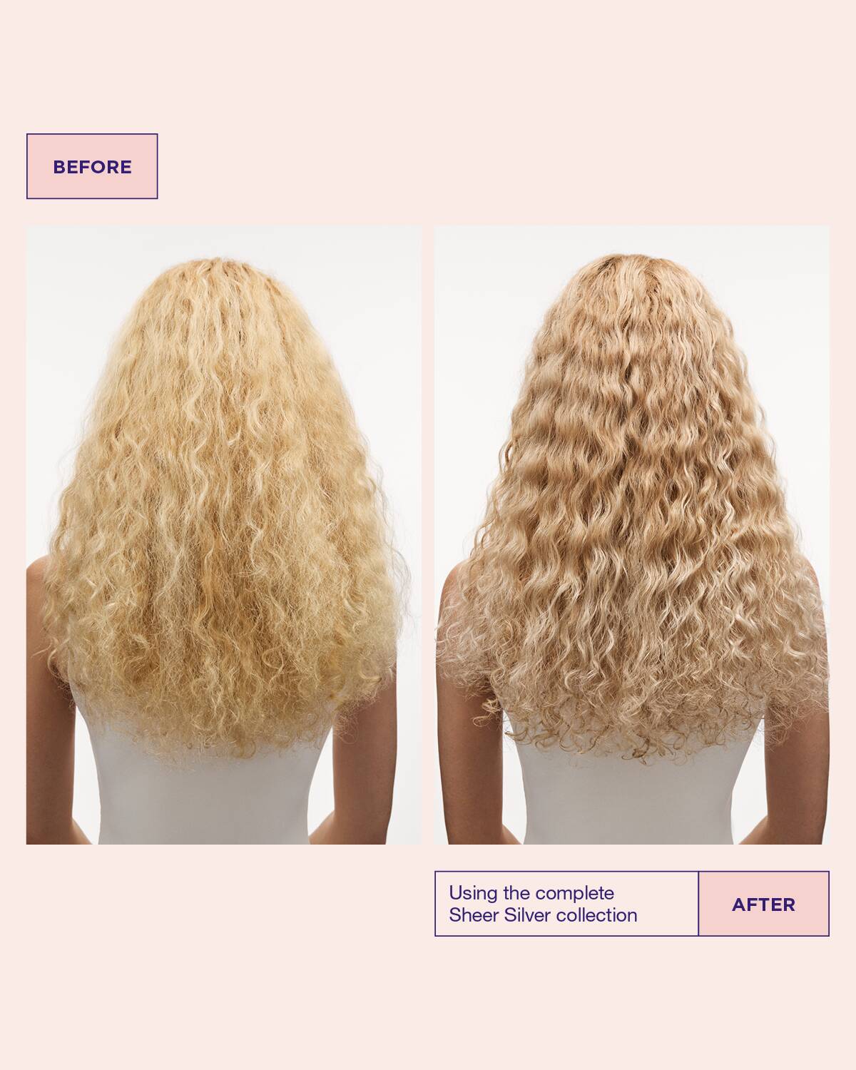 Shampooing Sheer Silver de Maria Nila 250ml à pigment violet